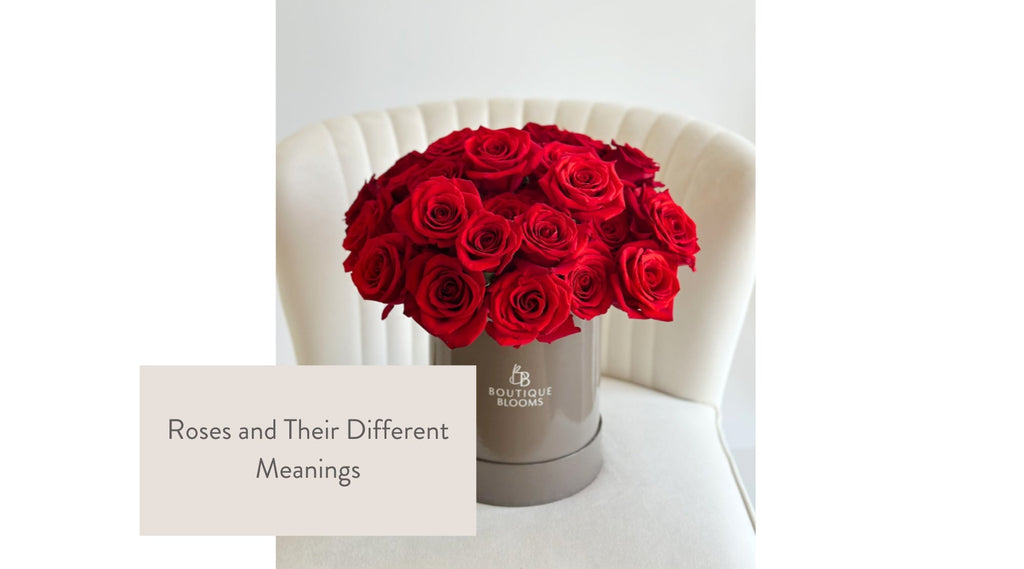 roses and their different meaning based on rose color