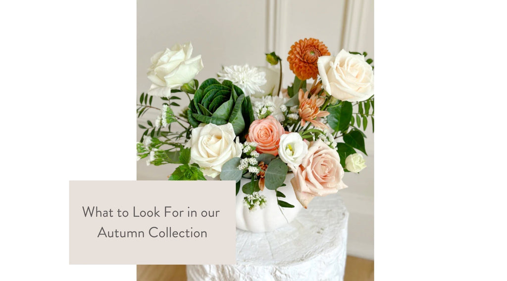 What to Look For in our Autumn Collection