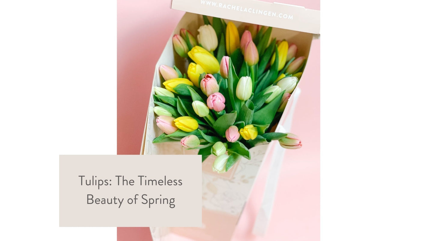 toronto-spring-tulips