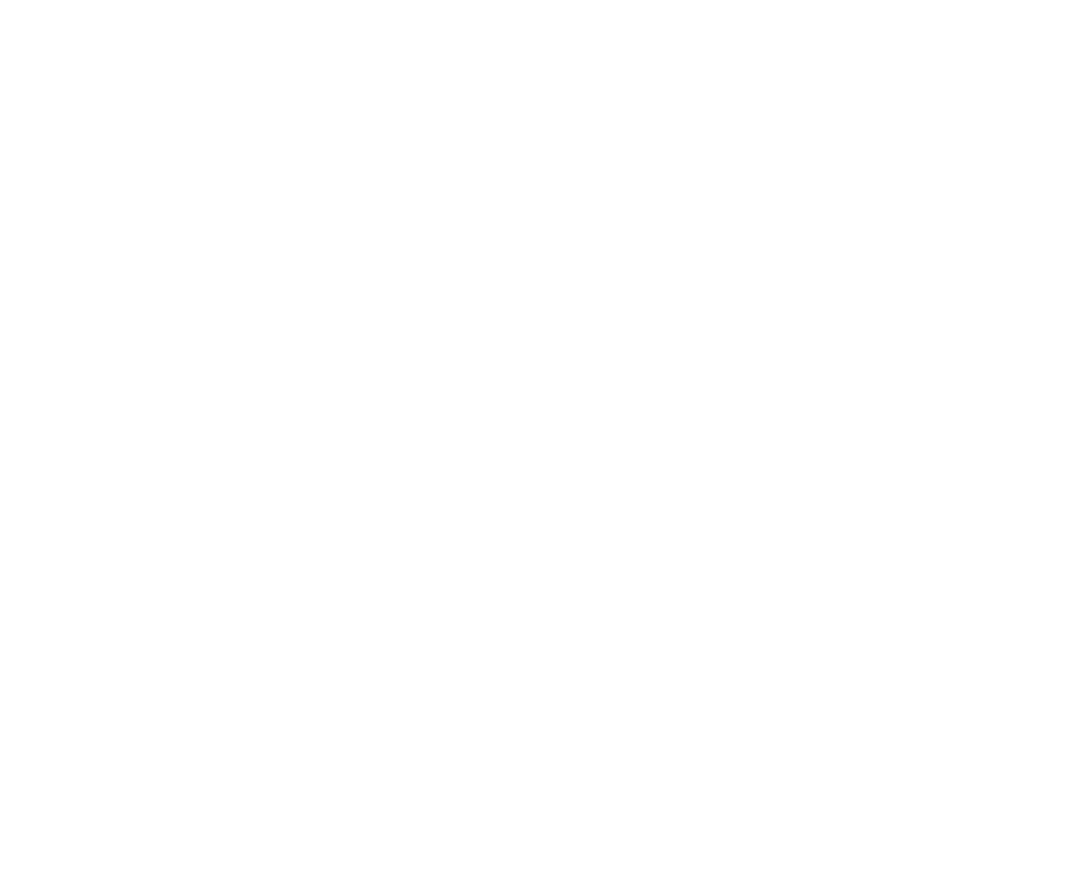 Boutique Blooms  by Rachel A. Clingen