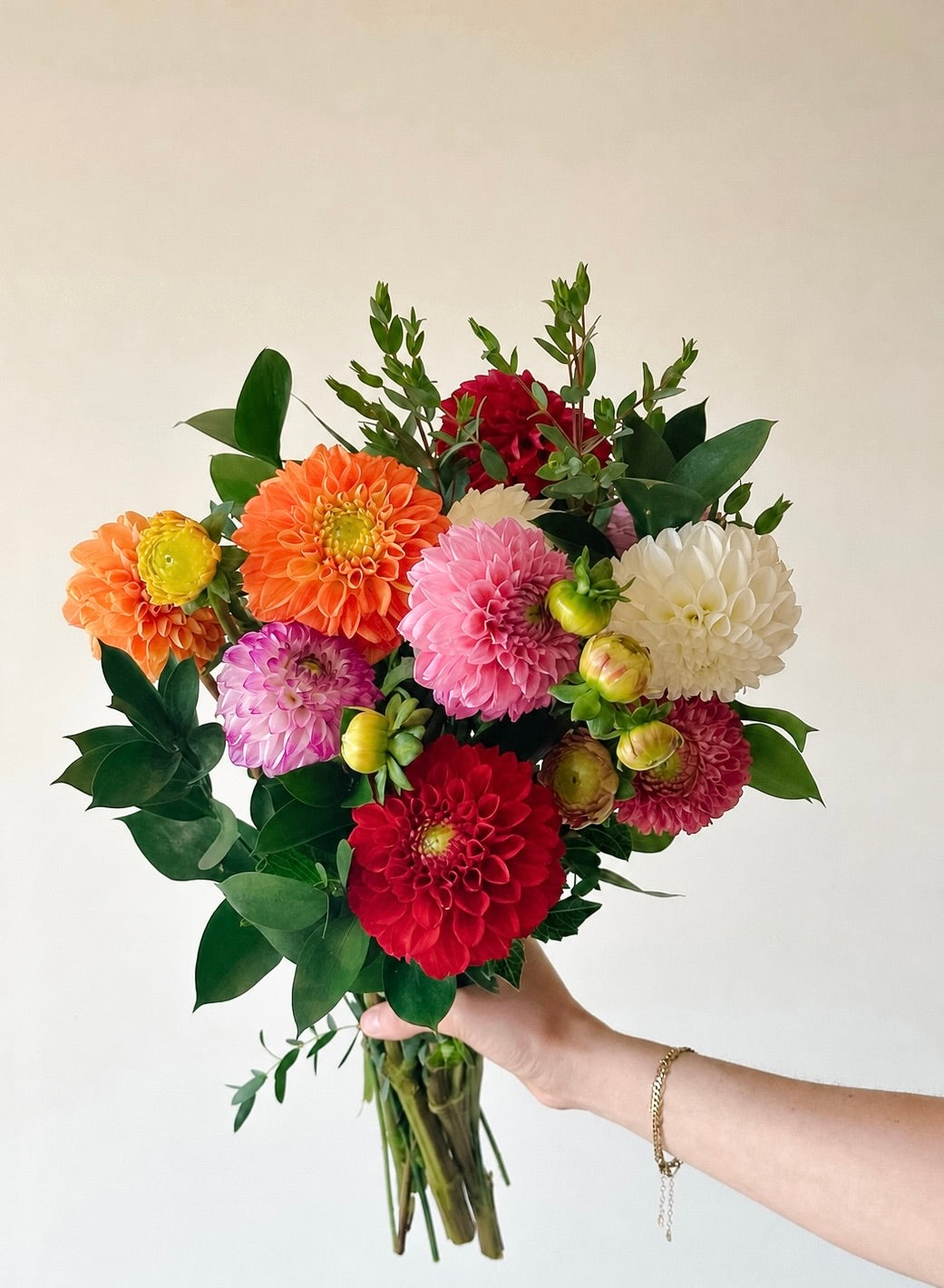 A vibrant bouquet of fresh dahlias held by a person's hand against a plain off-white background. The bouquet features a mix of bright orange, red, pink, purple, and white flowers with green foliage.