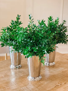 Boxwood Julip Cup - Set of 3