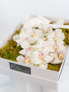 Luxury Orchid Presentation Box